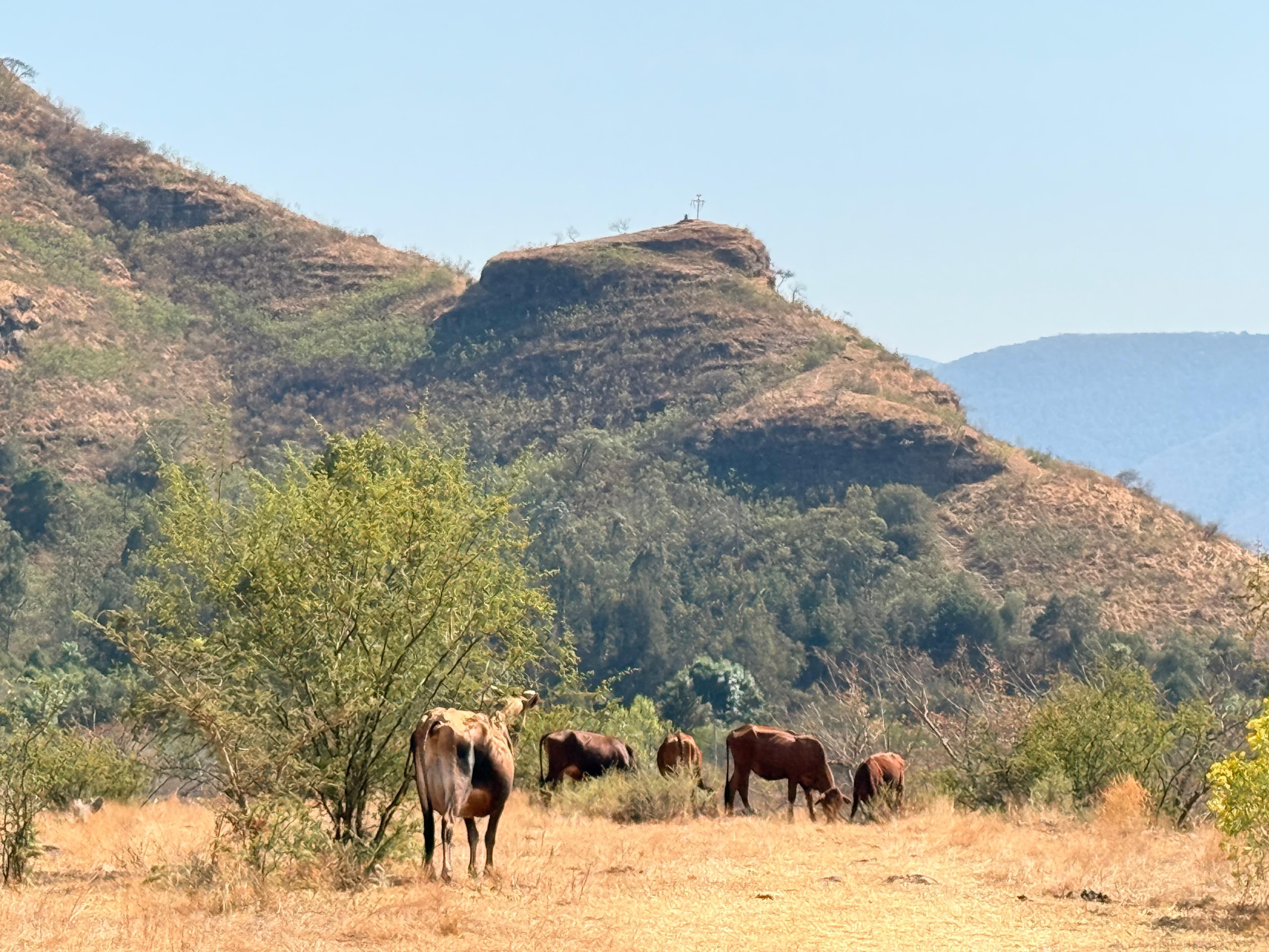 Paisaje de Malinalco