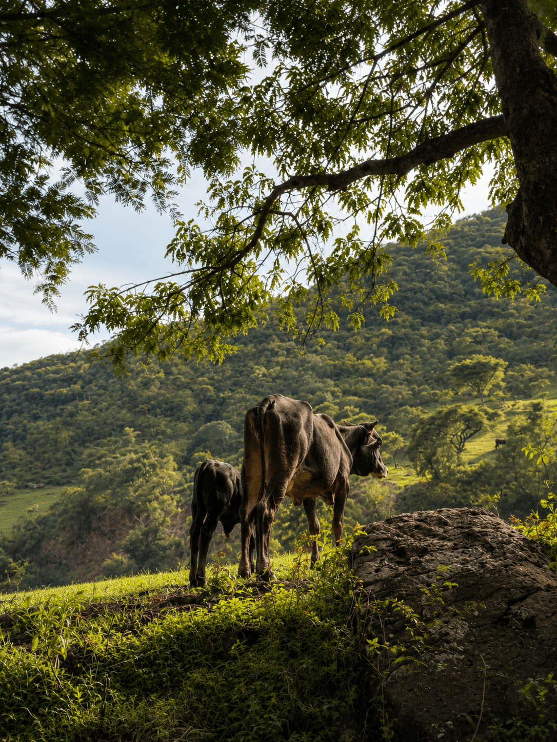 Qué hacer un sábado en Malinalco